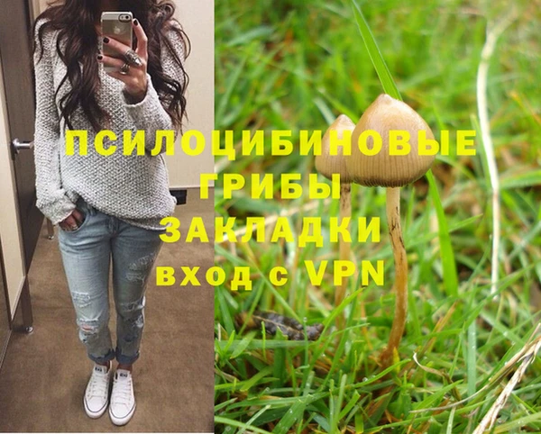 ALPHA-PVP Верхний Тагил