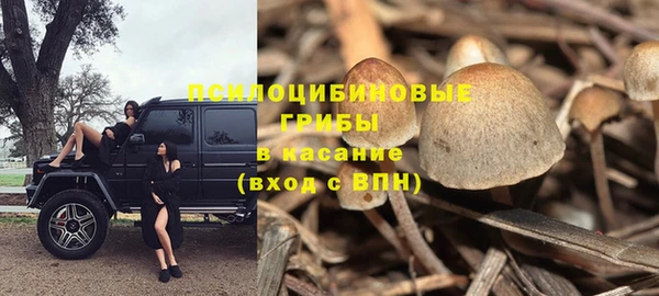 ALPHA-PVP Верея