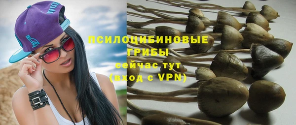 ALPHA-PVP Верхний Тагил
