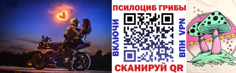 где купить наркоту  Кириши  Псилоцибиновые грибы Psilocybine cubensis 